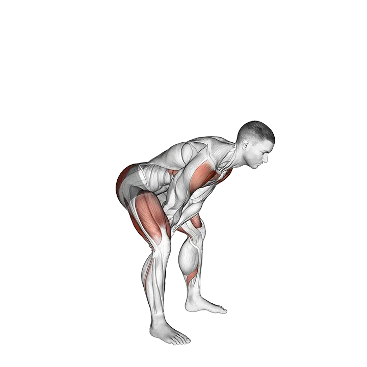 Bodyweight Swing exercise animation (Male)