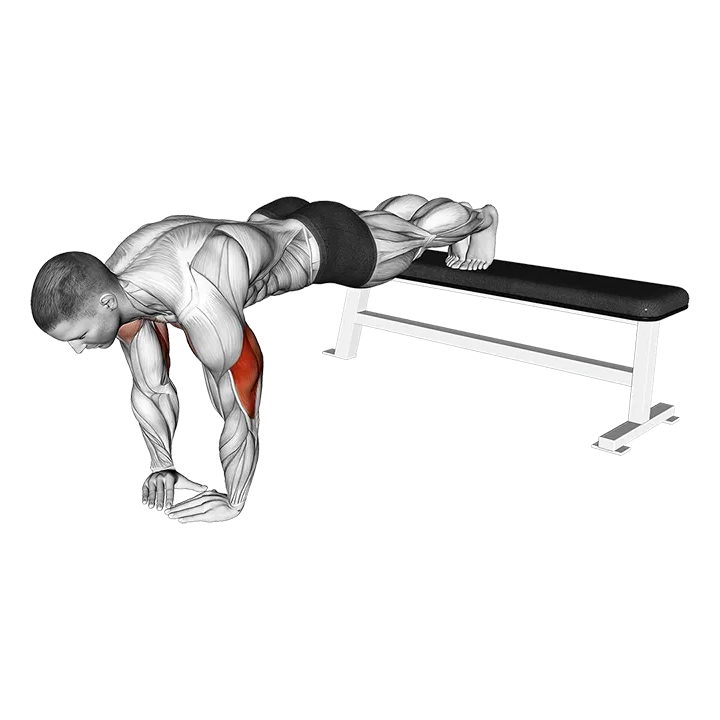 Decline Diamond Push-up exercise animation (Male)
