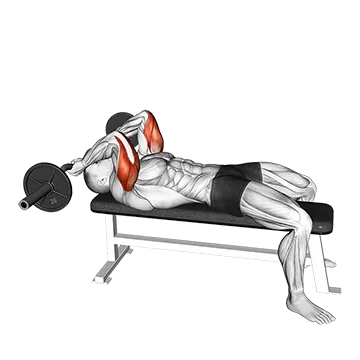 EZ Barbell Lying Triceps Extension