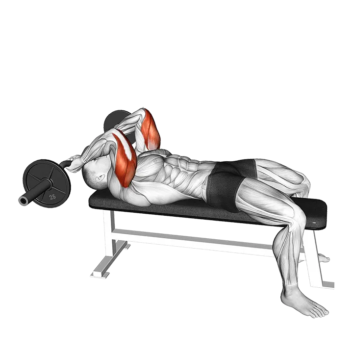 EZ Barbell Lying Triceps Extension exercise animation (Male)