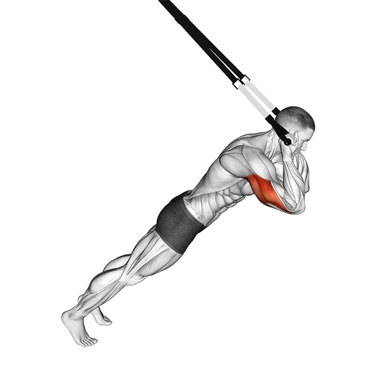 Suspension Triceps Extension exercise animation (Male)