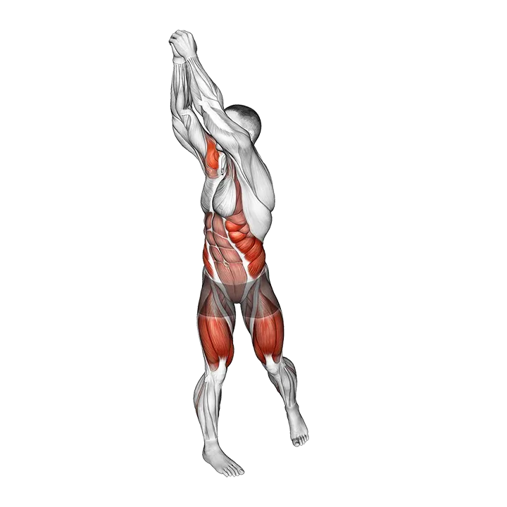 Bodyweight Wood Chop Squat exercise animation (Male)