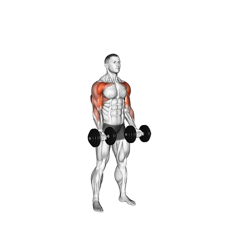 Dumbbell Curl Press Extension exercise animation (Male)
