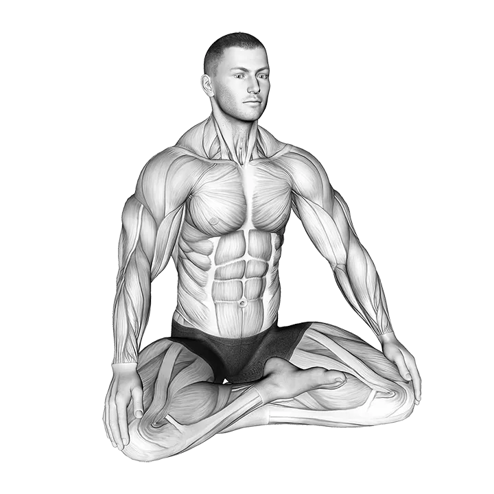 Lotus Pose Breathing exercise animation (Male)