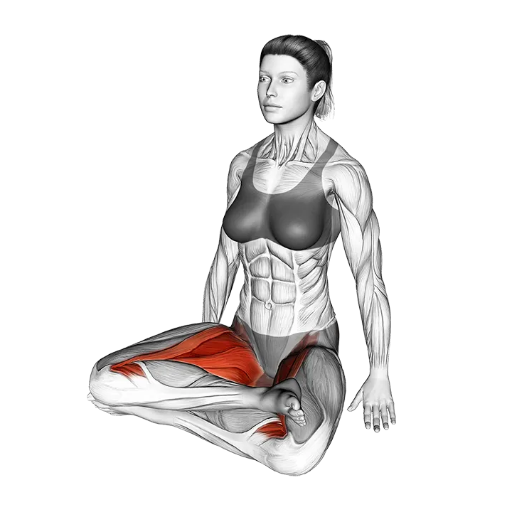 Double Pigeon Pose exercise animation (Female)