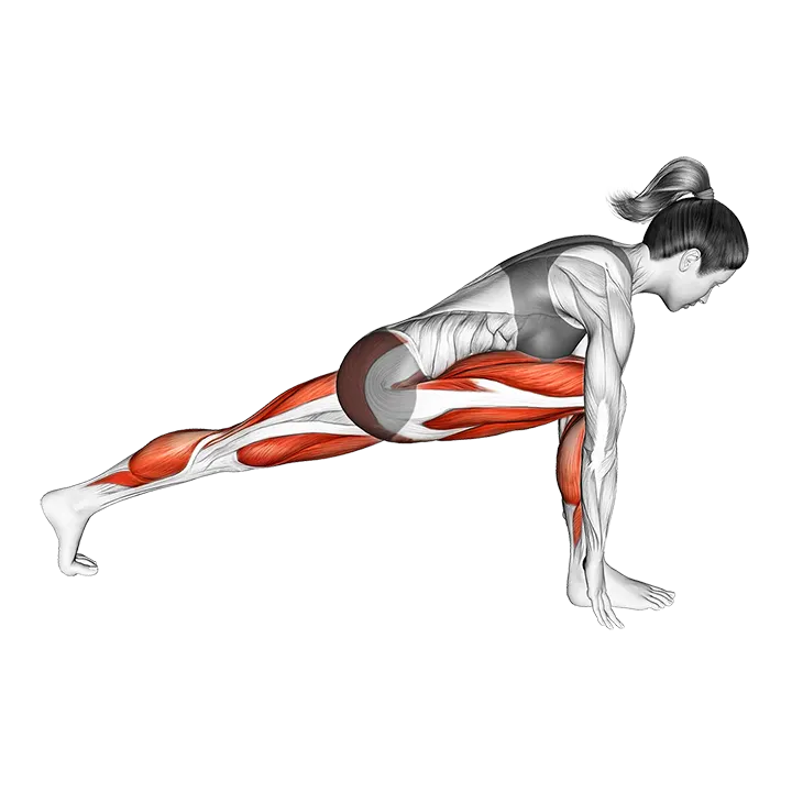 High Lunge exercise animation (Female)