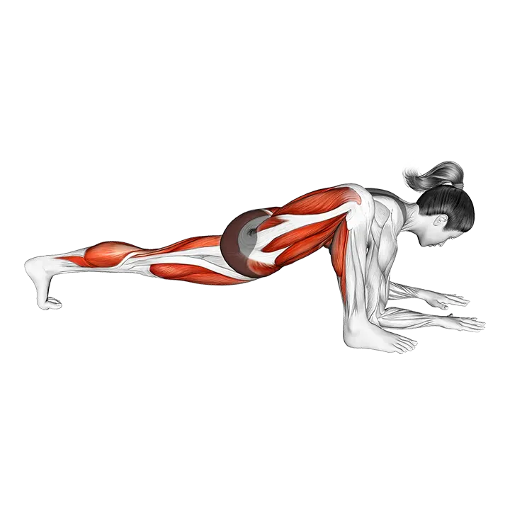 Lizard Pose exercise animation (Female)