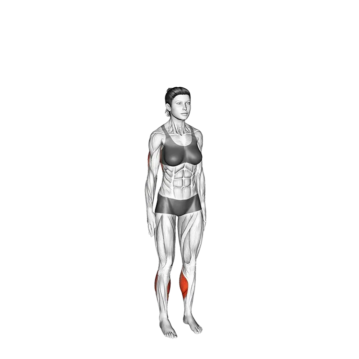 Mountain Pose exercise animation (Female)