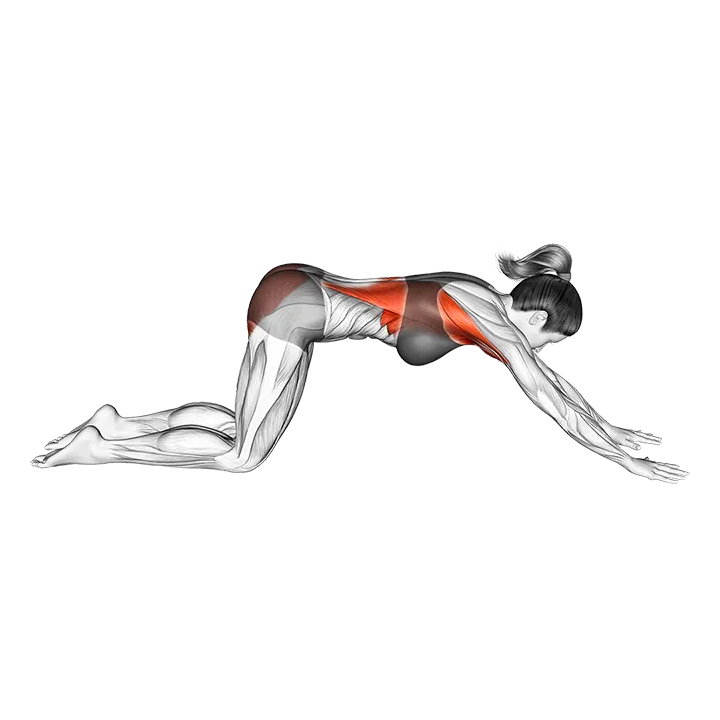 Puppy Pose exercise animation (Female)