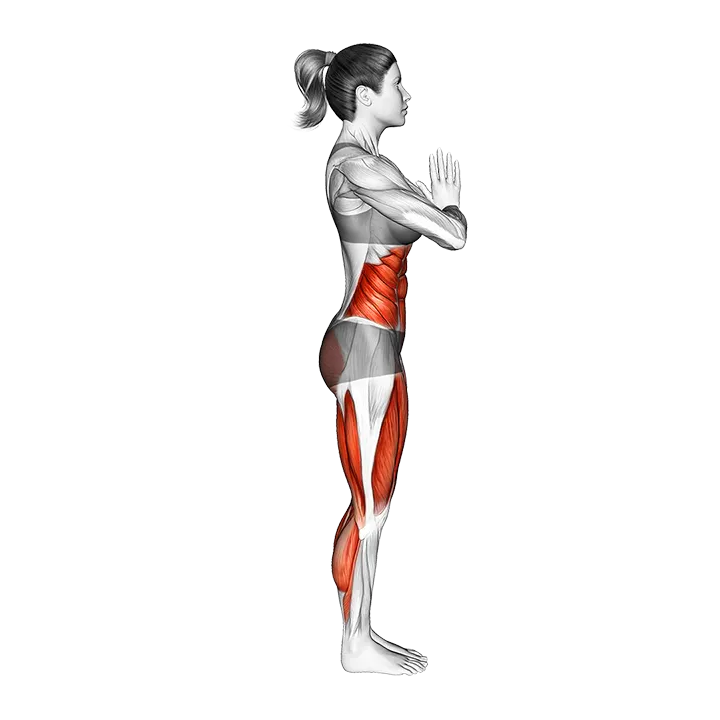 Revolved Chair exercise animation (Female)