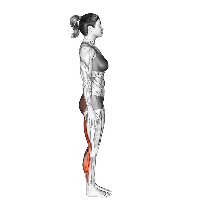 Standing Half Bend exercise animation (Female)