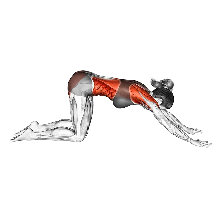 Thread the Needle Pose exercise animation (Female)
