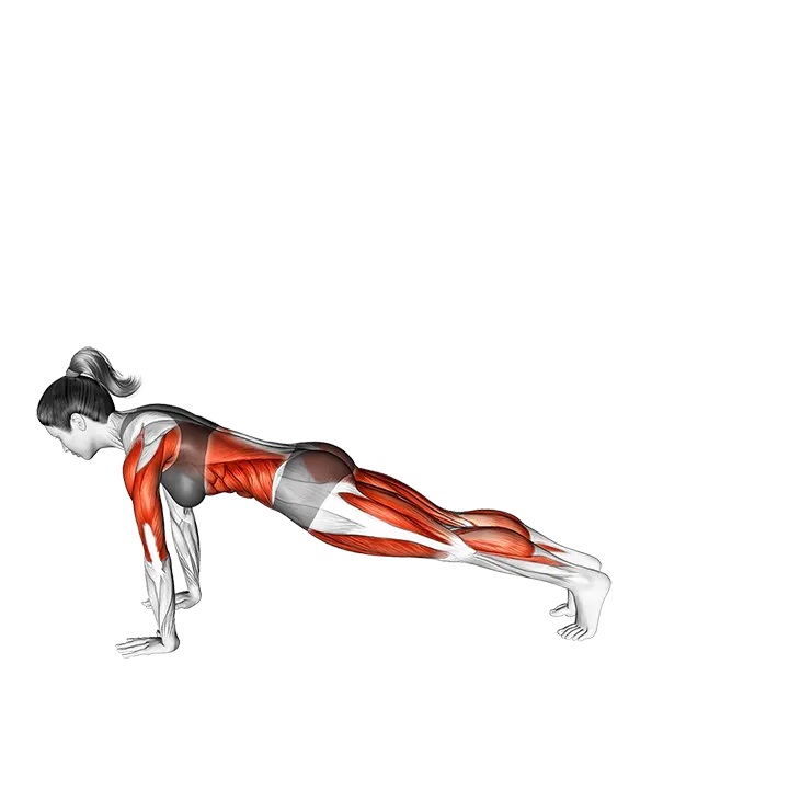 Tiger Curl Pose exercise animation (Female)