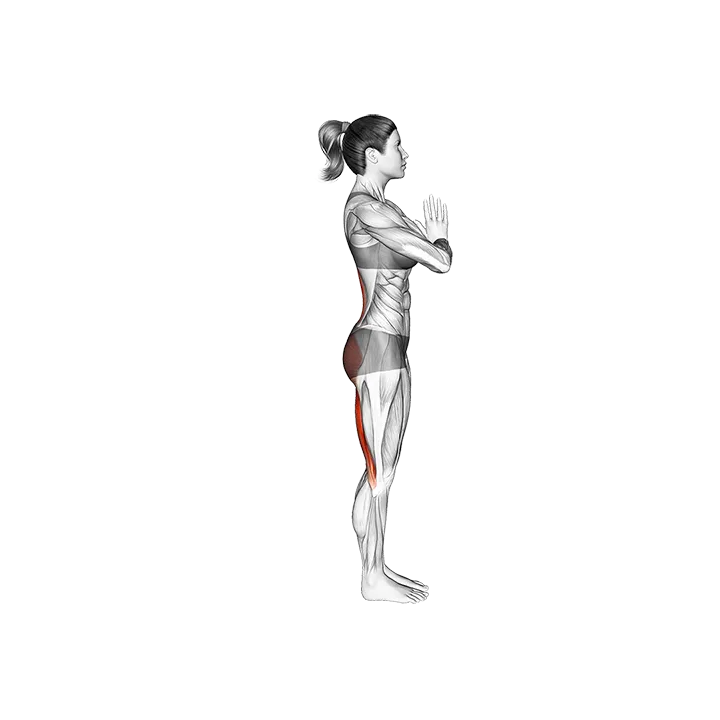 Warrior III Pose exercise animation (Female)