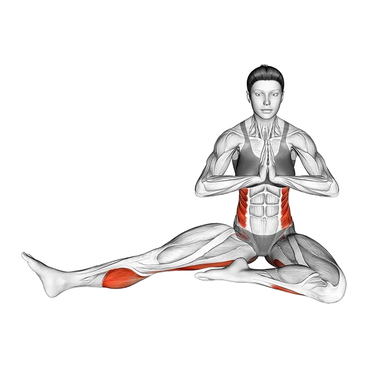 Revolved Head to Knee Pose exercise animation (Female)