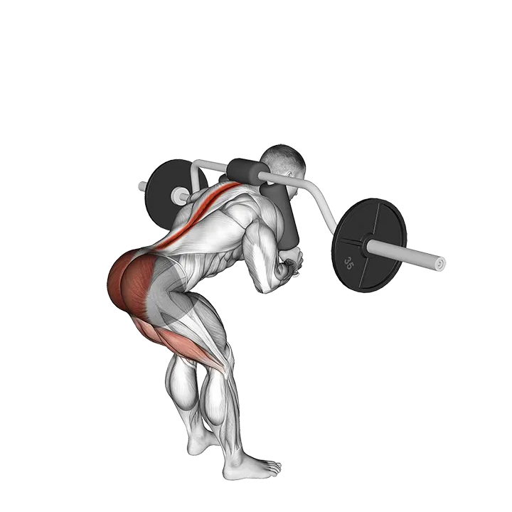 Safety Bar Good Morning exercise animation (Male)