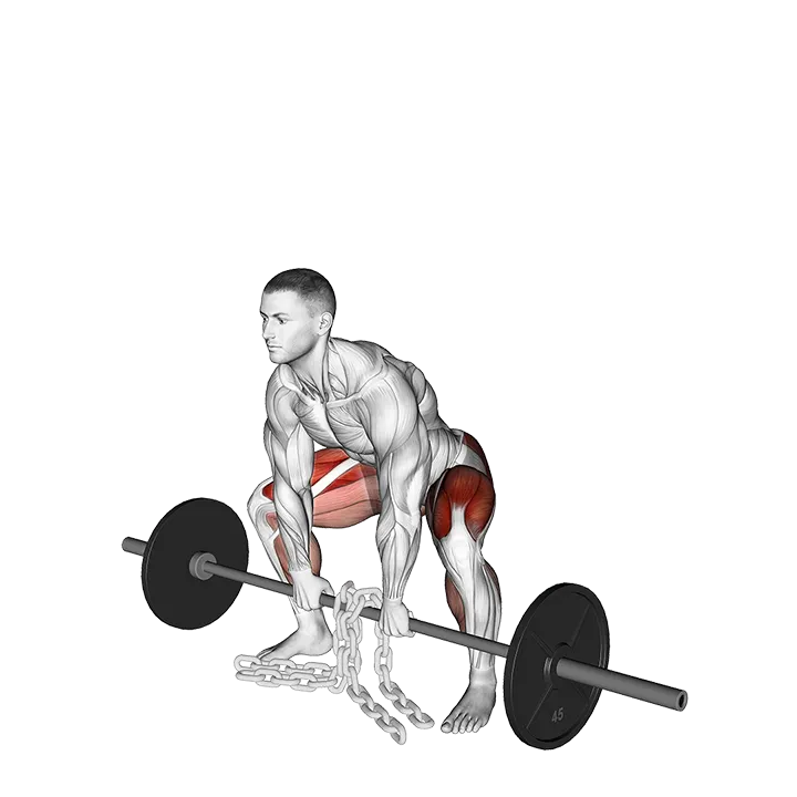Barbell Weighted Chains Sumo Deadlift exercise animation (Male)