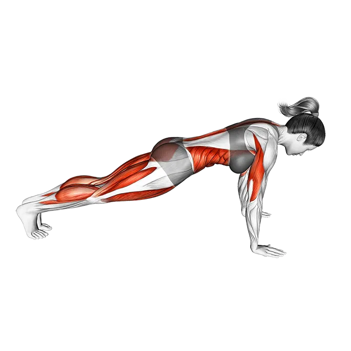 Four Limbed Staff exercise animation (Female)