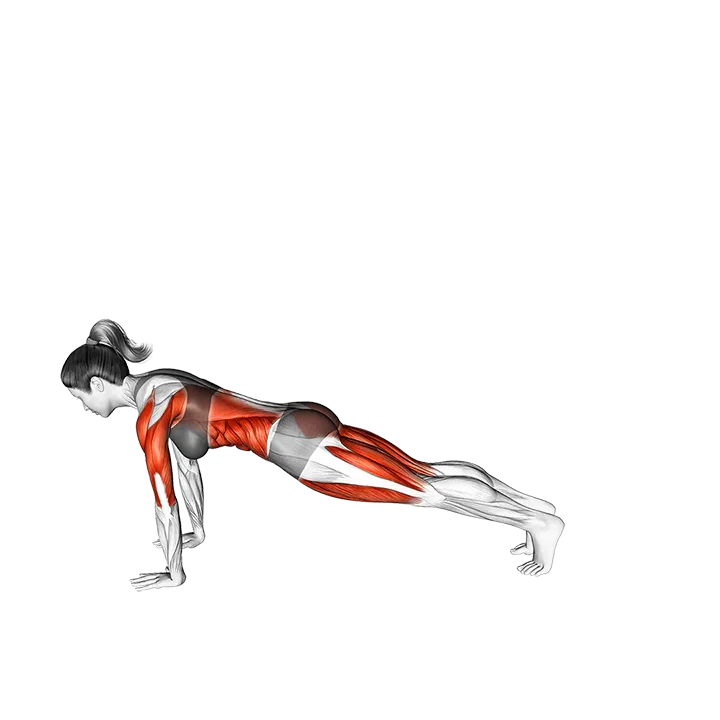 3 Leg Chatarunga Pose exercise animation (Female)