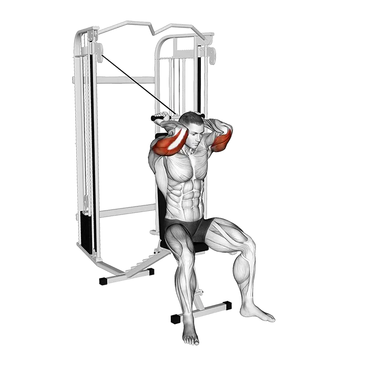 Cable Seated High Pulley Overhead Triceps Extension exercise animation (Male)