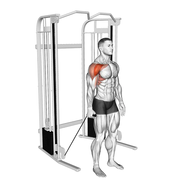 Cable Single Arm Neutral Grip Front Raise exercise animation (Male)