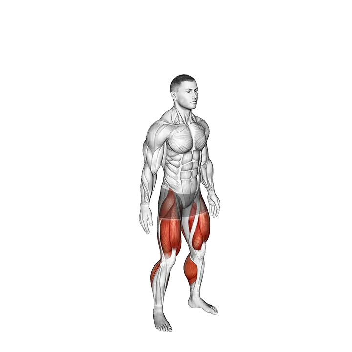 Jump Twist exercise animation (Male)