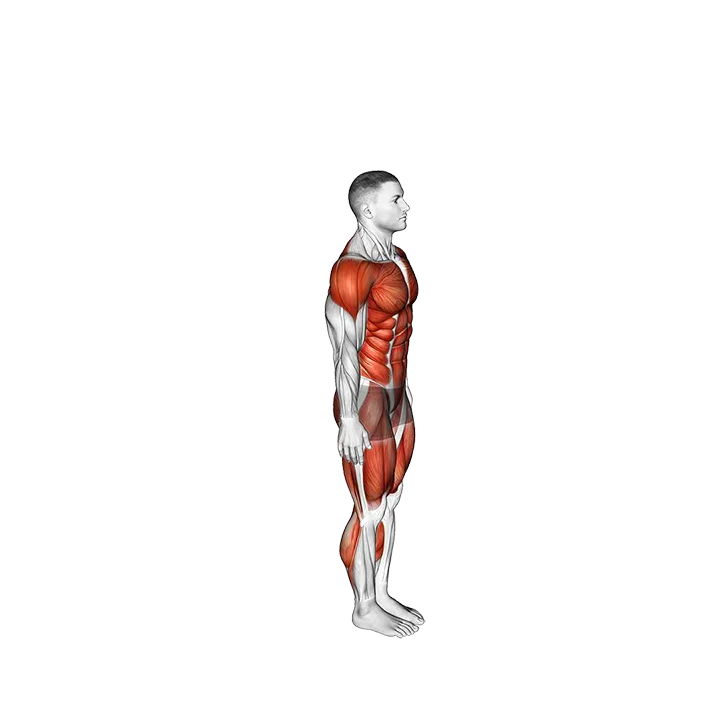 Burpee Twist exercise animation (Male)