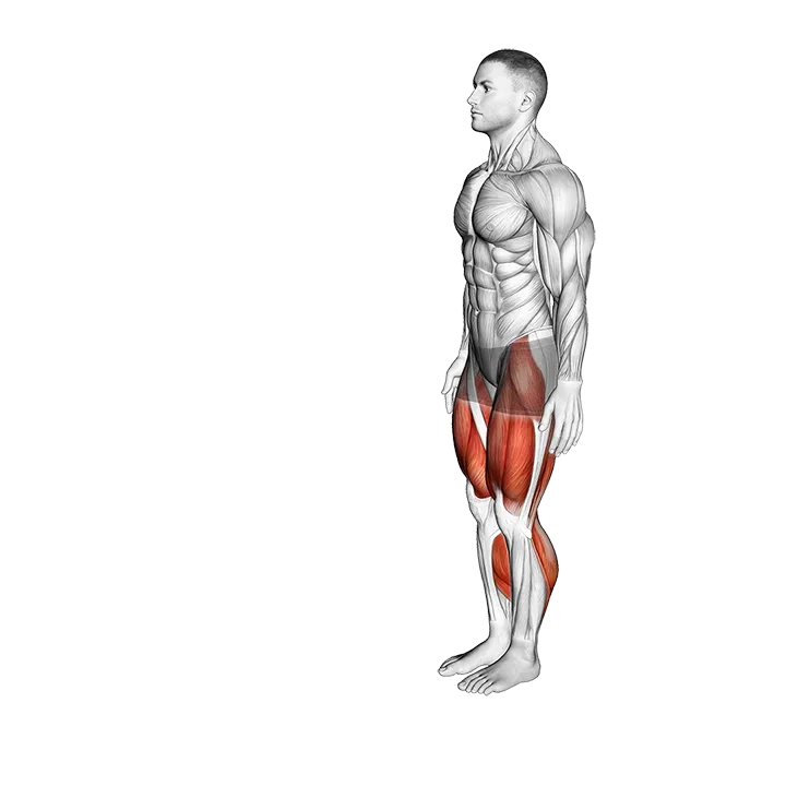 Heel to Toe Walk exercise animation (Male)