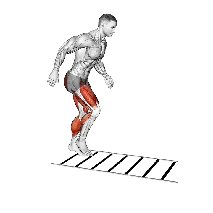 Ladder Drill exercise animation (Male)