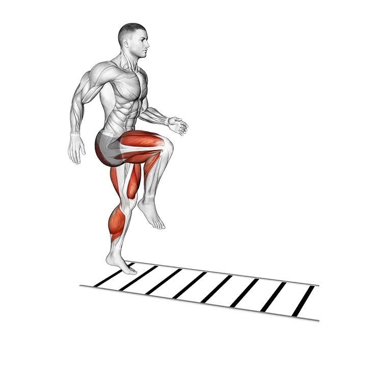 Plyometric Agility Drill exercise animation (Male)