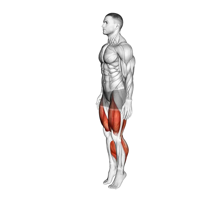 Tight Rope Walk exercise animation (Male)