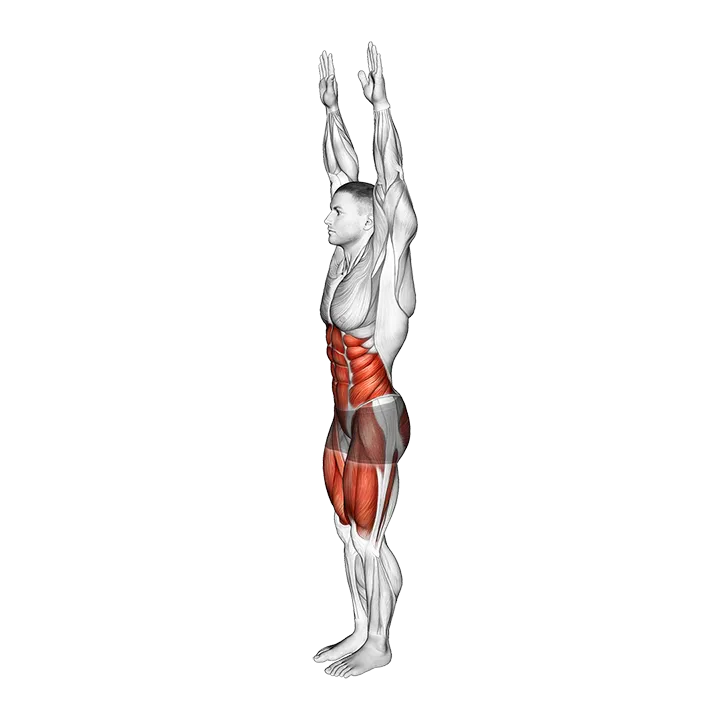 Toy Soldier Dynamic Stretch exercise animation (Male)