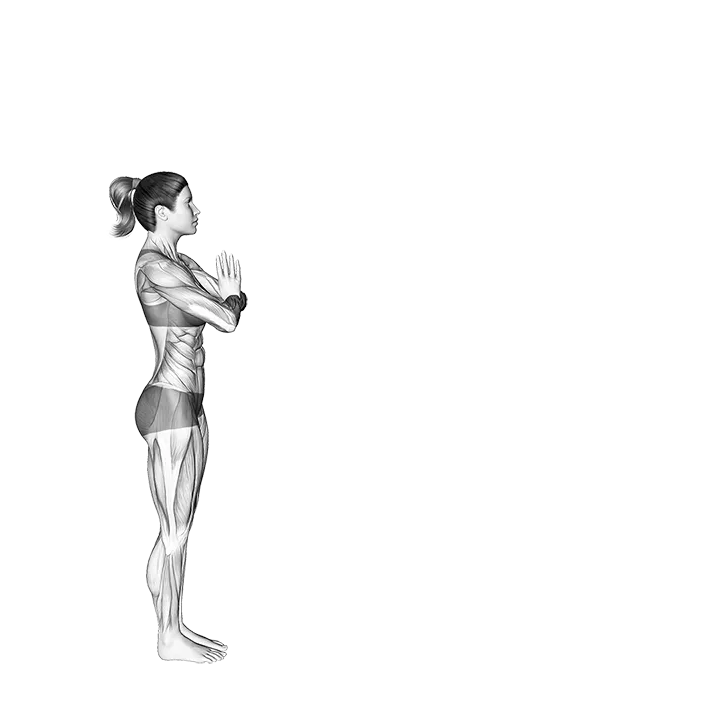 Vinyasa exercise animation (Female)