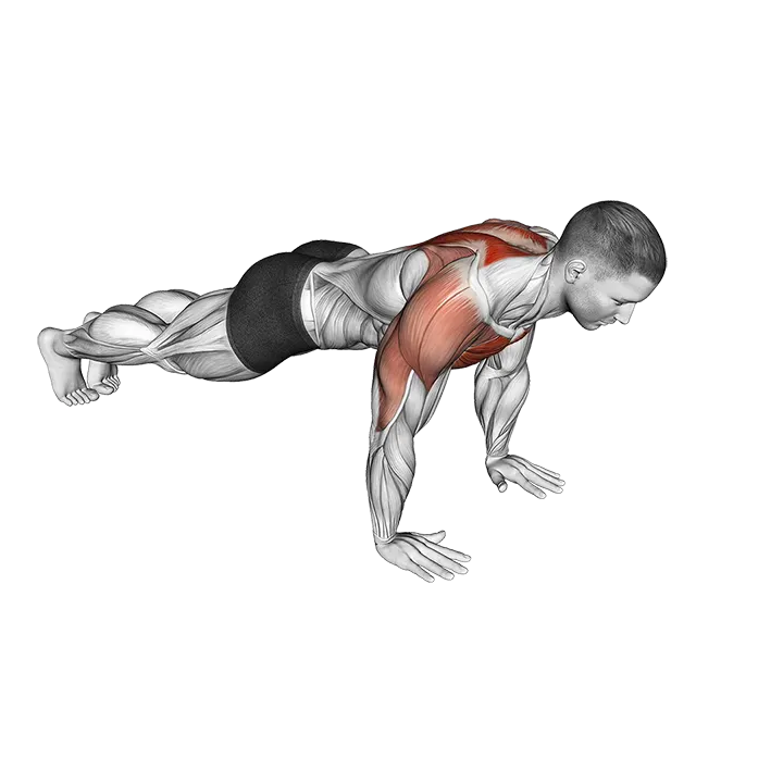 Lay Down Push-up exercise animation (Male)