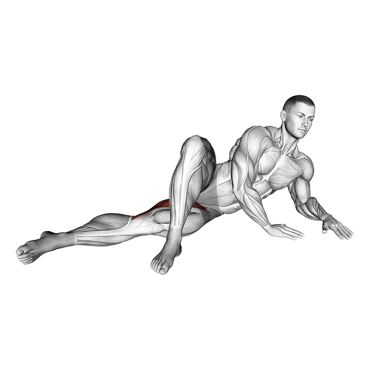 Side Lying Hip Adduction (left) exercise animation (Male)