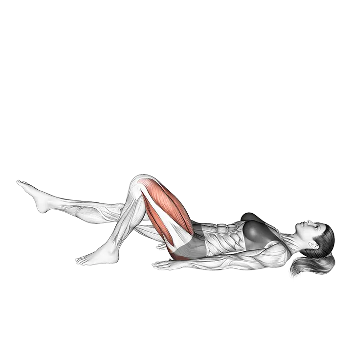Single Straight Leg Glute Bridge Hold (left) exercise animation (Female)