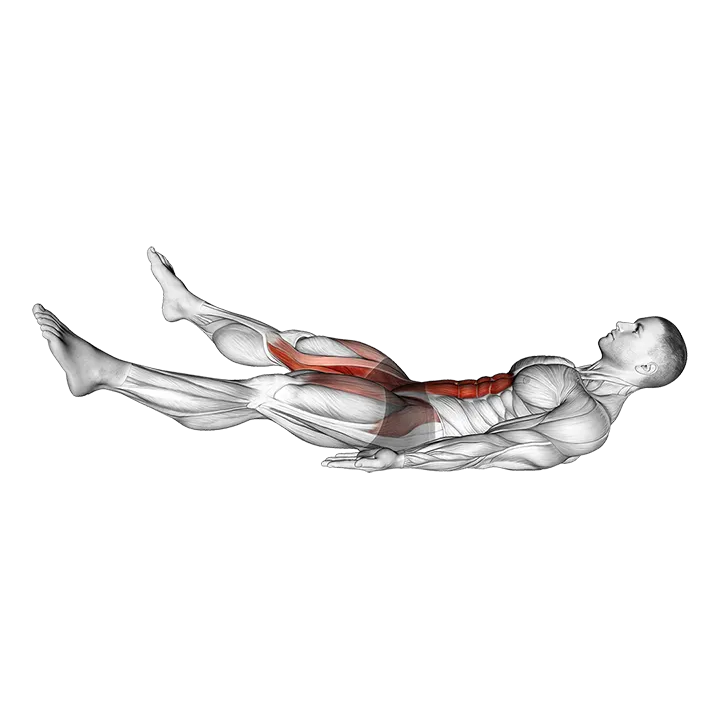 Lying Toe Tap exercise animation (Male)