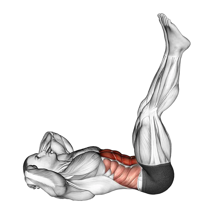 Lying Crunch (straight legs) exercise animation (Male)