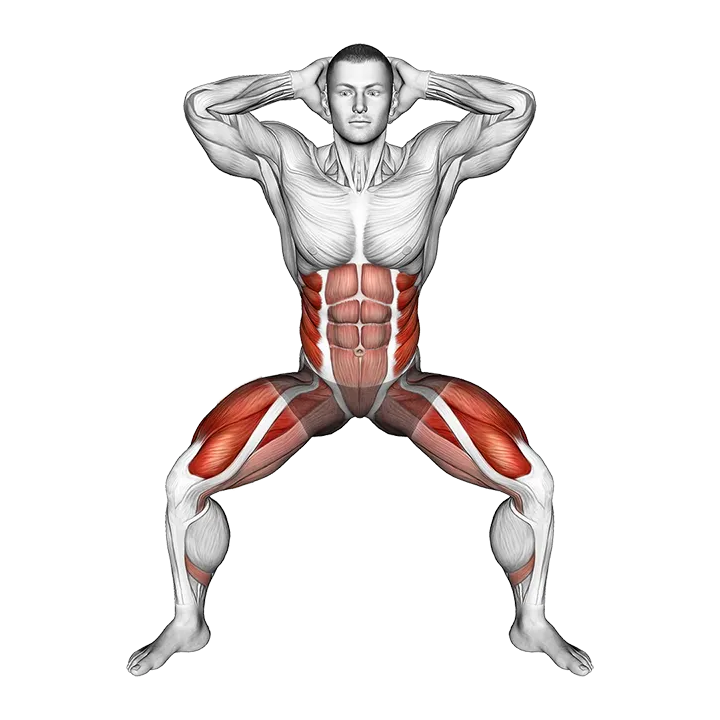 Half Squat Side Reach exercise animation (Male)