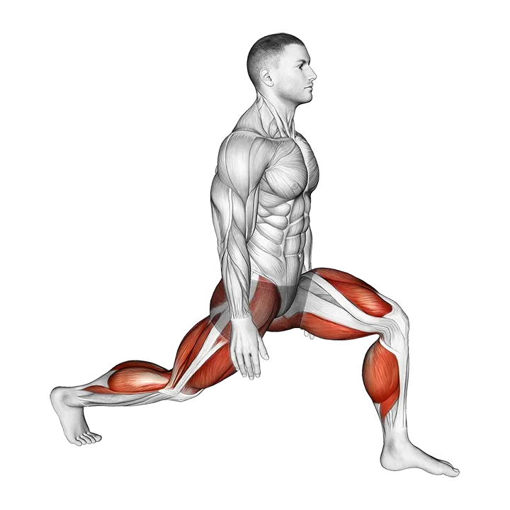 Low Lunge exercise animation (Male)