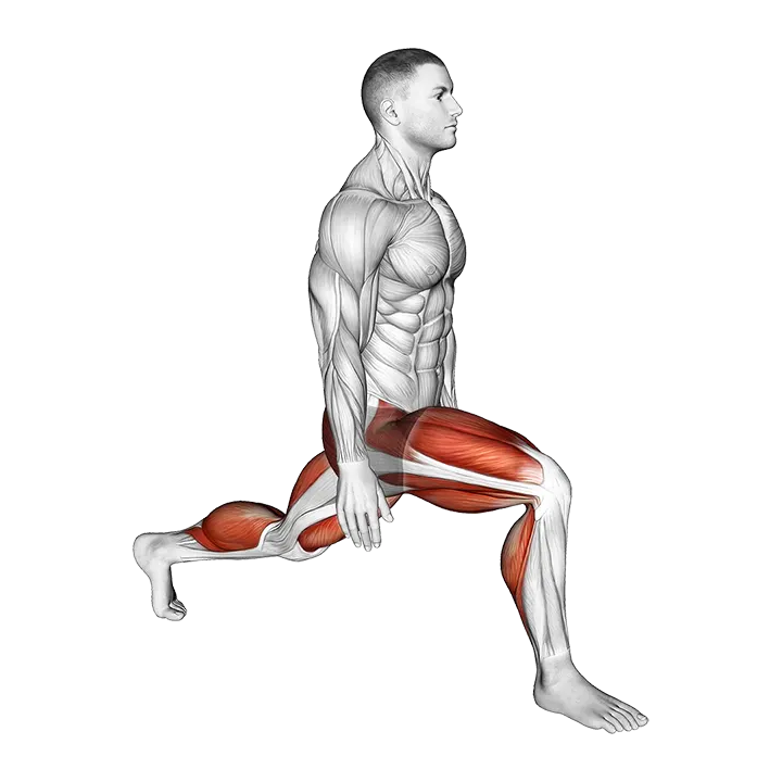 Low Lunge (left) exercise animation (Male)