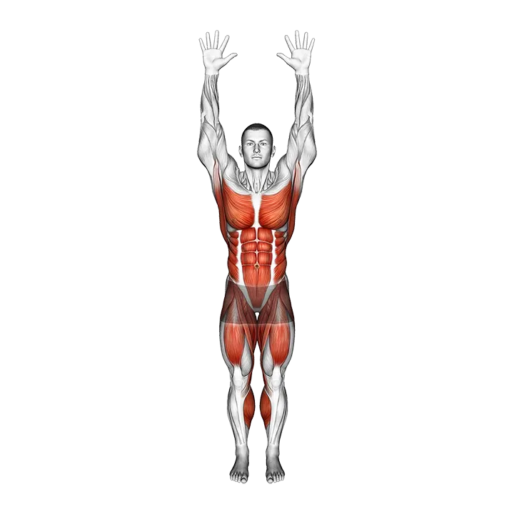 Celebratory Knee Drives exercise animation (Male)