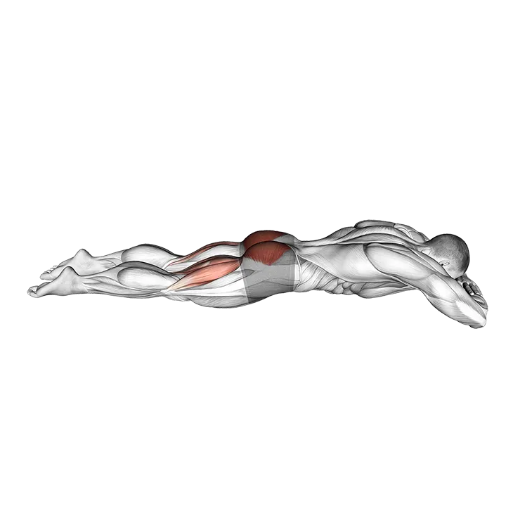 Lying Hyperextension Hold exercise animation (Male)
