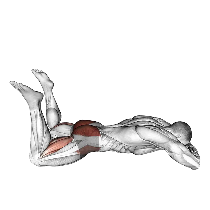 Lying Frog Kick exercise animation (Male)