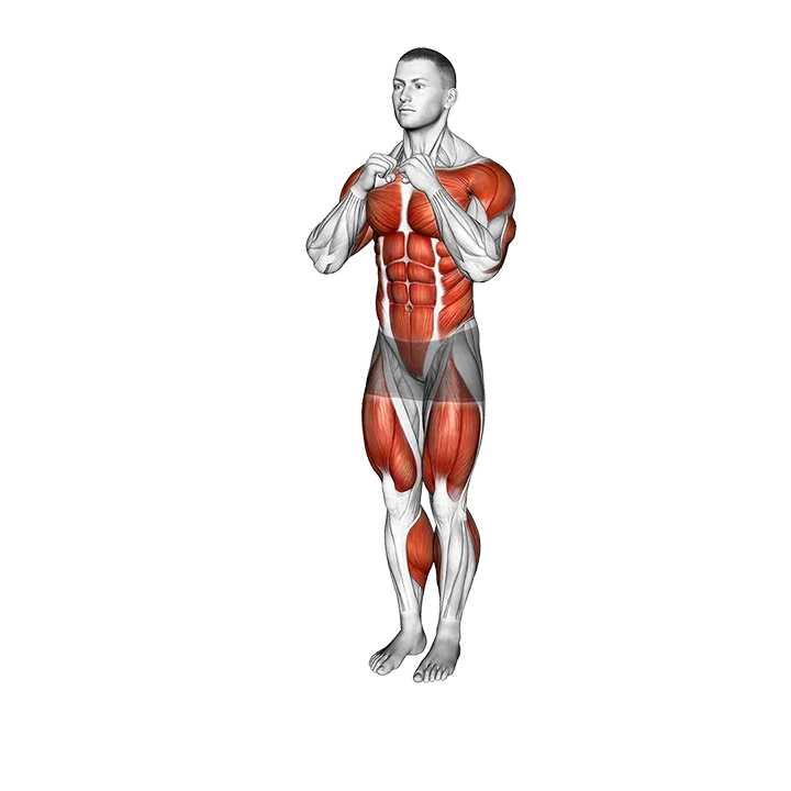 Punch Step Forward exercise animation (Male)