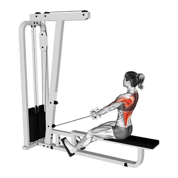 Cable Low Seated Row with V bar exercise animation (Female)