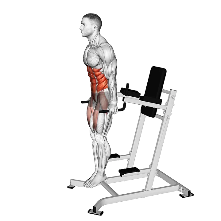 Ab Tuck exercise animation (Male)