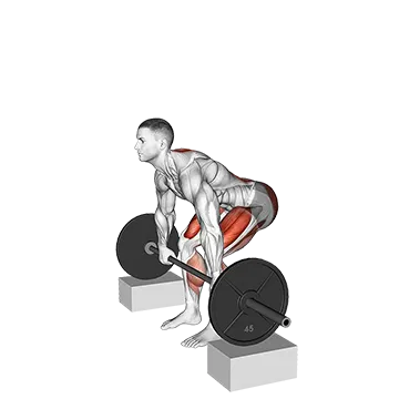 Barbell Deadlift from Blocks