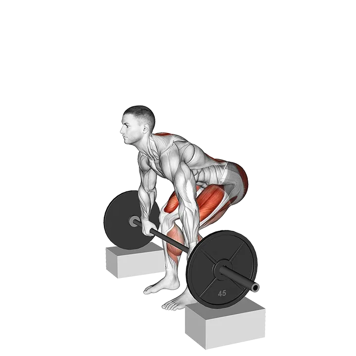 Barbell Deadlift from Blocks exercise animation (Male)