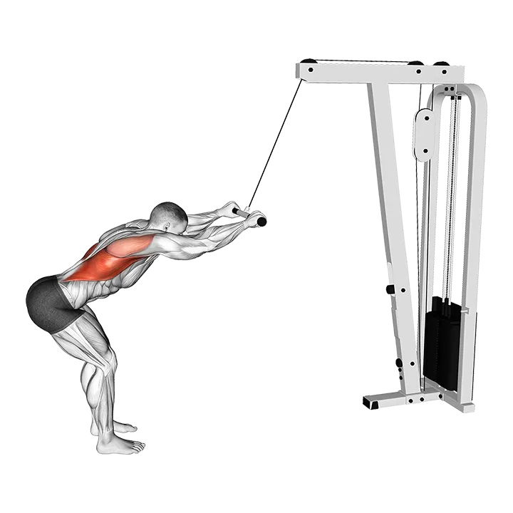 Cable Straight Arm Pulldown (VERSION 2) exercise animation (Male)